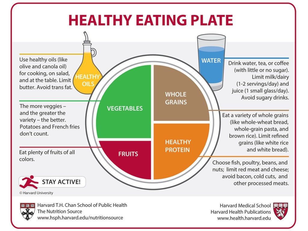 Everything you need to know about your diet