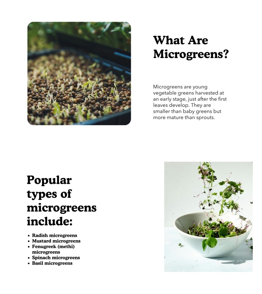 growing microgreens at home
