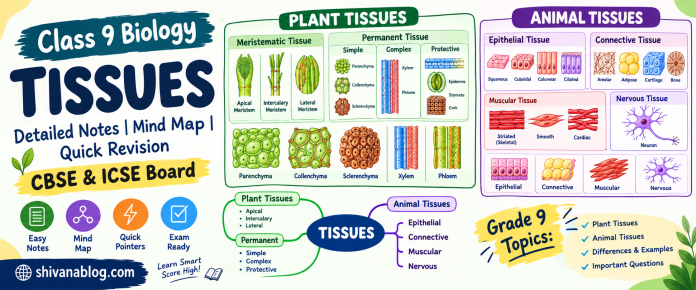 Tissues Class 9 Biology Notes – CBSE & ICSE | Complete Chapter Notes